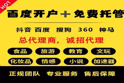 解析SEM竞价代运营的成功要素及案例